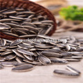 2019 Sunflower seed market price inner mongolia seeds